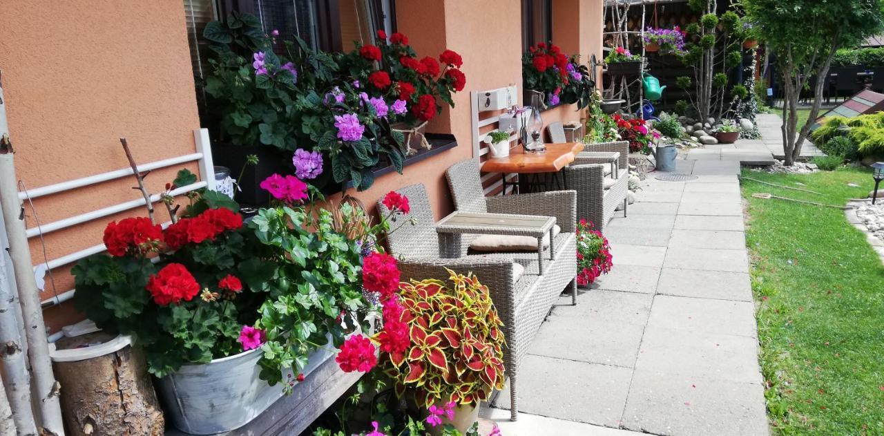 Apartmany U Jirousu Rokytnice nad Jizerou Exterior photo